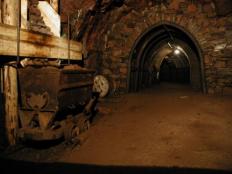 zum Vergrößern anklicken