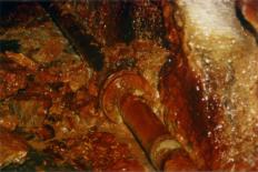 zum Vergrößern anklicken