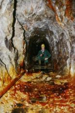 zum Vergrößern anklicken