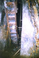 zum Vergrößern anklicken