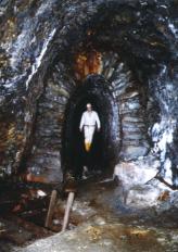 zum Vergrößern anklicken