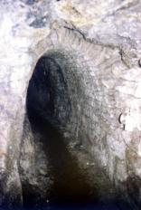 zum Vergrößern anklicken