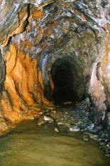 zum Vergrößern anklicken