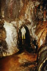 zum Vergrößern anklicken