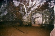 zum Vergrößern anklicken