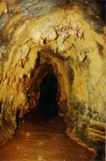 zum Vergrößern anklicken