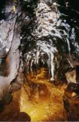 zum Vergrößern anklicken