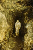 zum Vergrern anklicken