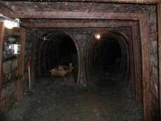 zum Vergrößern anklicken