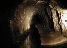 zum Vergrößern anklicken